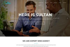 Sultan – One Page Business WordPress Theme
