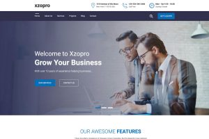 Xzopro – Finance And Business WordPress Theme