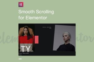 Smooth Scrolling for WordPress Theme