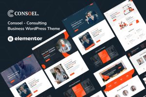 Consoel – Consulting Business WordPress Theme