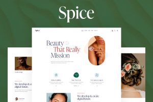 Spice Wordpress Theme