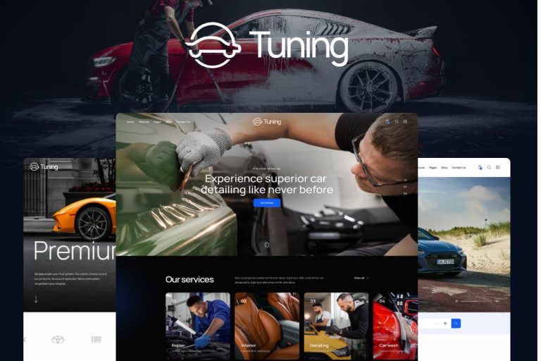 Tuning Wordpress Theme