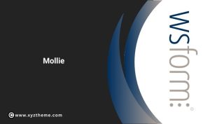 WS Form PRO – Mollie