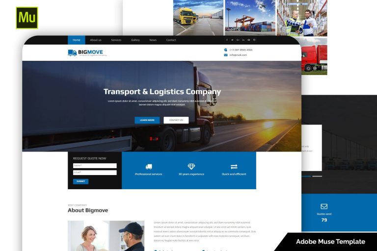 Big Move – Responsive Transport & Logistics