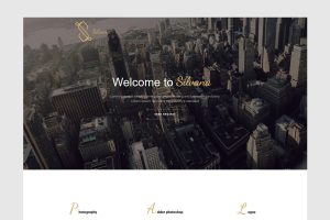 Silvana – Agency Unbounce Landing Page