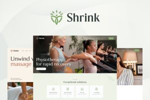 Shrink WordPress Theme