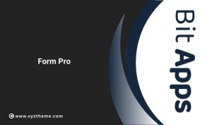 Bit Form Pro 3.2.2