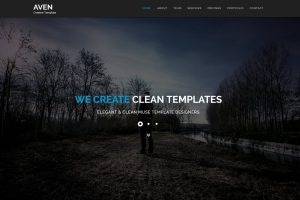 Aven – Multipurpose Parallax HTML Template
