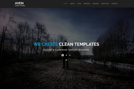 Aven - Multipurpose Parallax HTML Template