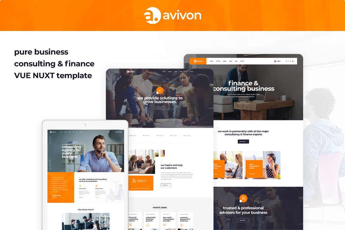 Avivon - Vue Nuxt Business Consulting and Finance