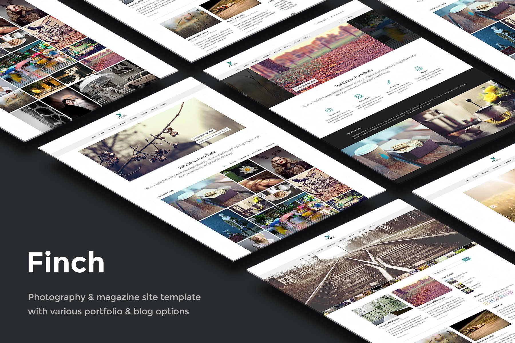 Finch - Photography and Magazine Site Template