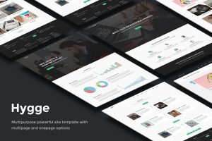 Hygge – Multipurpose Single/Multi Page Template
