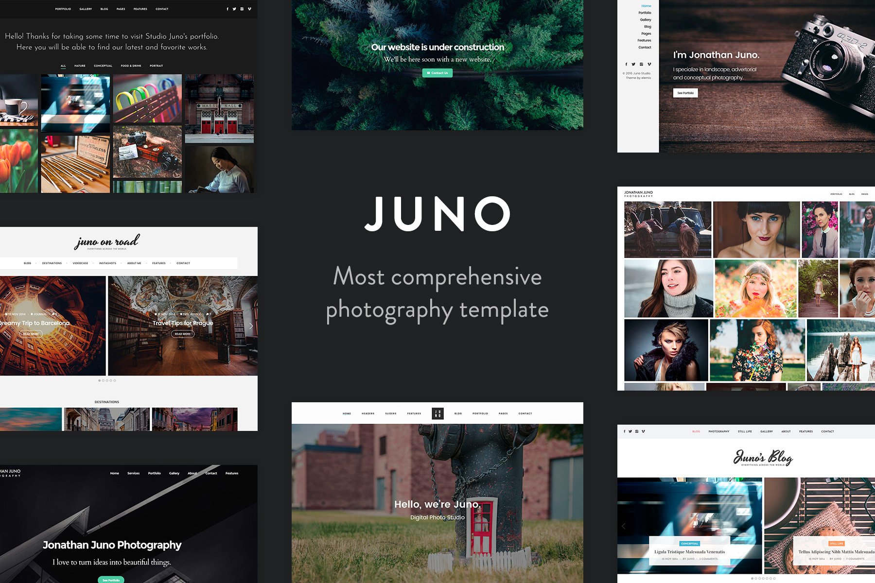 Juno - Photography and Magazine Site Template
