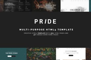 Pride – Multipurpose HTML5 Theme