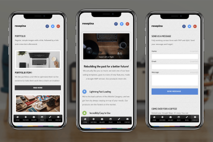 Resipina Mobile - Google AMP and Classic Mobile Site