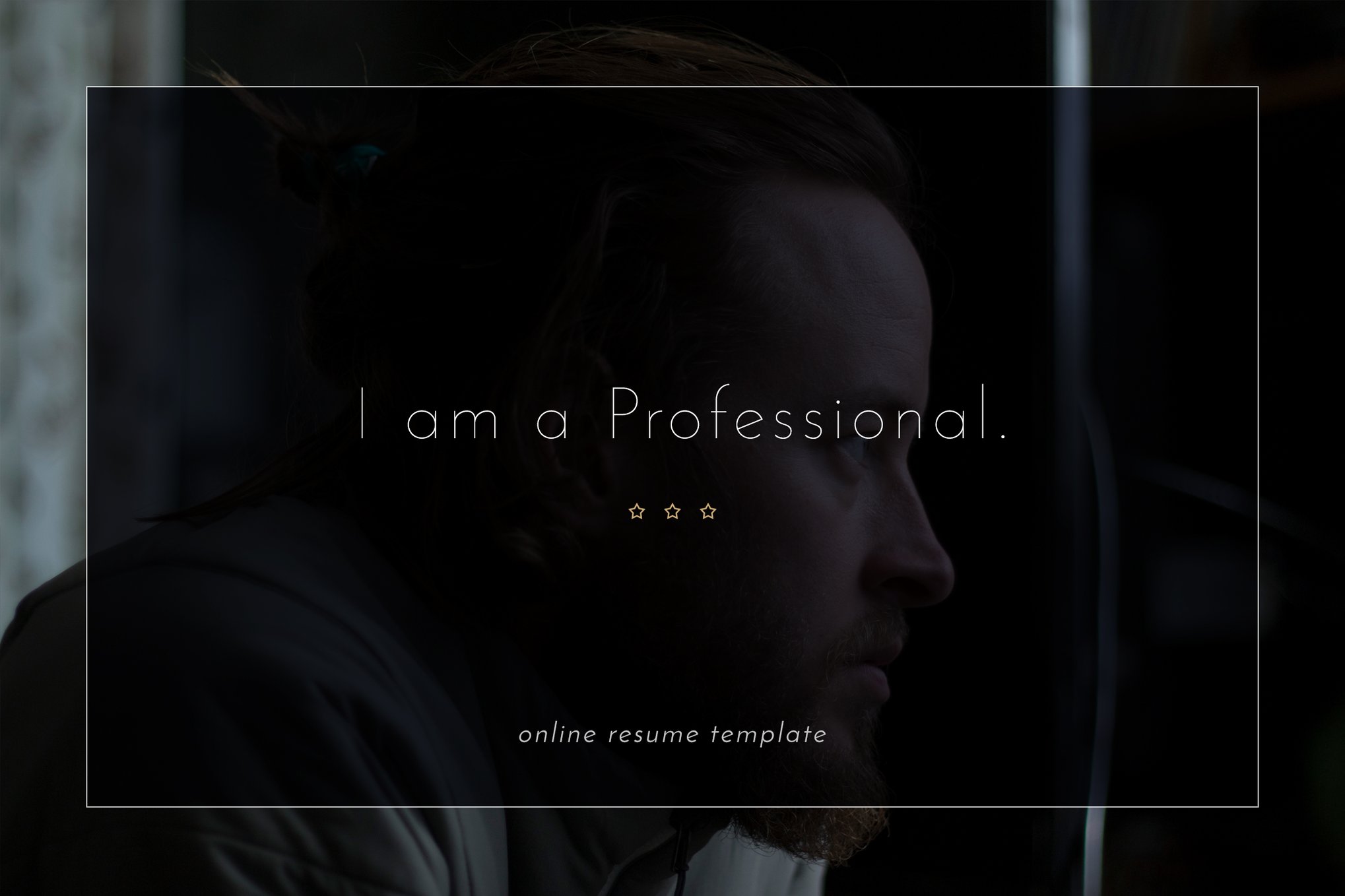 VSResume - Online CV / Resume Template