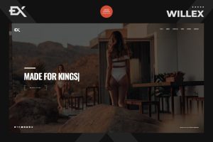 Willex – Photography Portfolio WordPress Theme