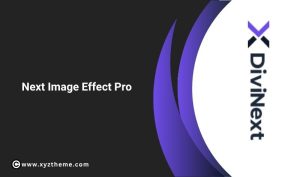 Next Image Effect Pro