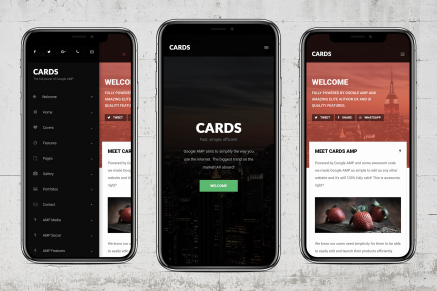 AMP Cards | Google AMP Mobile Template