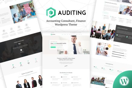 Auditing | Accounting Consultant, Finance 3.5 WordPress Theme