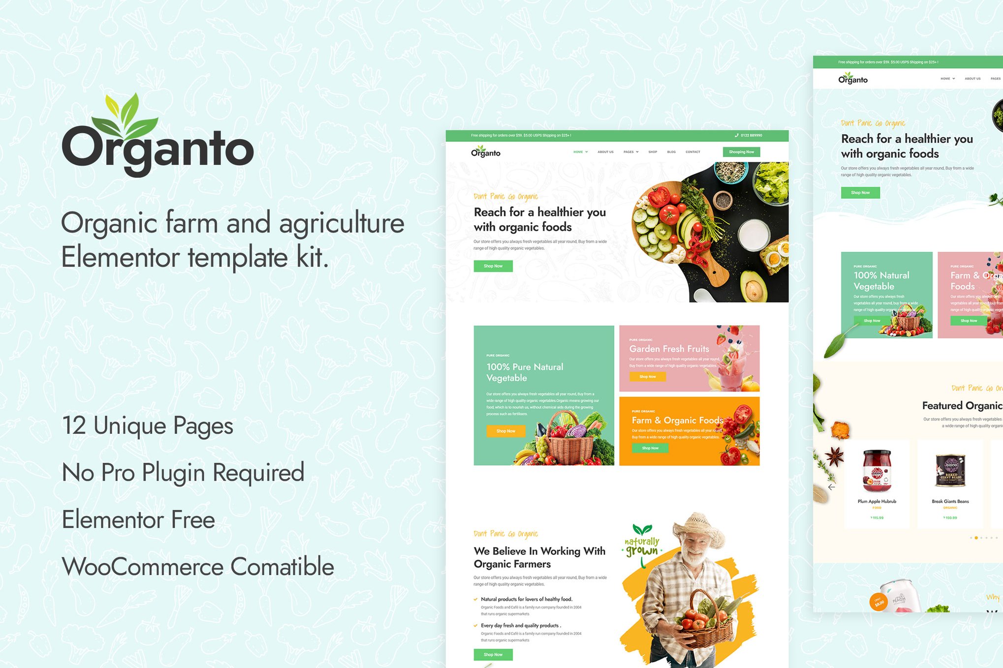 Organto- Organic Food Elementor Template Kit