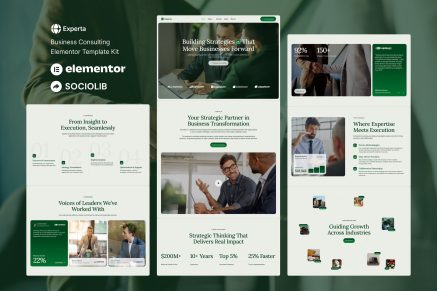 Experta - Business Consulting Elementor Template Kit