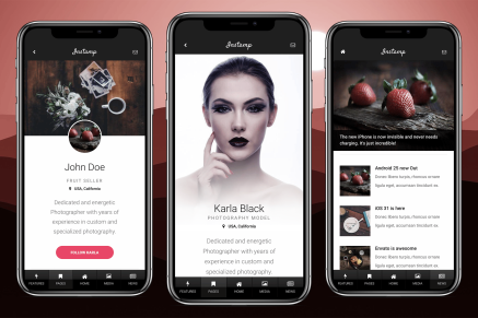 AMP Insta Mobile | Google AMP Mobile Template