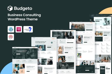 Budgeto – Business Consulting WordPress Theme