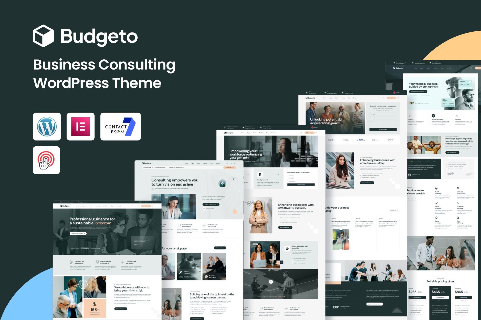 Budgeto – Business Consulting WordPress Theme