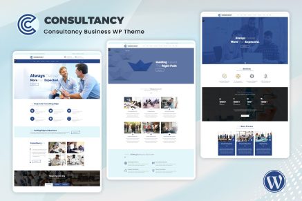 Consultancy Business