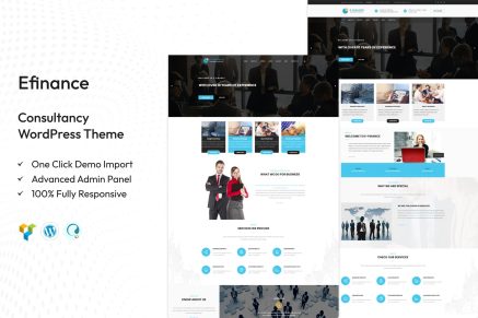 Efinance: Consultancy WordPress Theme