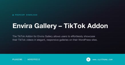 Envira Gallery – TikTok Addon