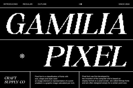 Gamilia Pixel