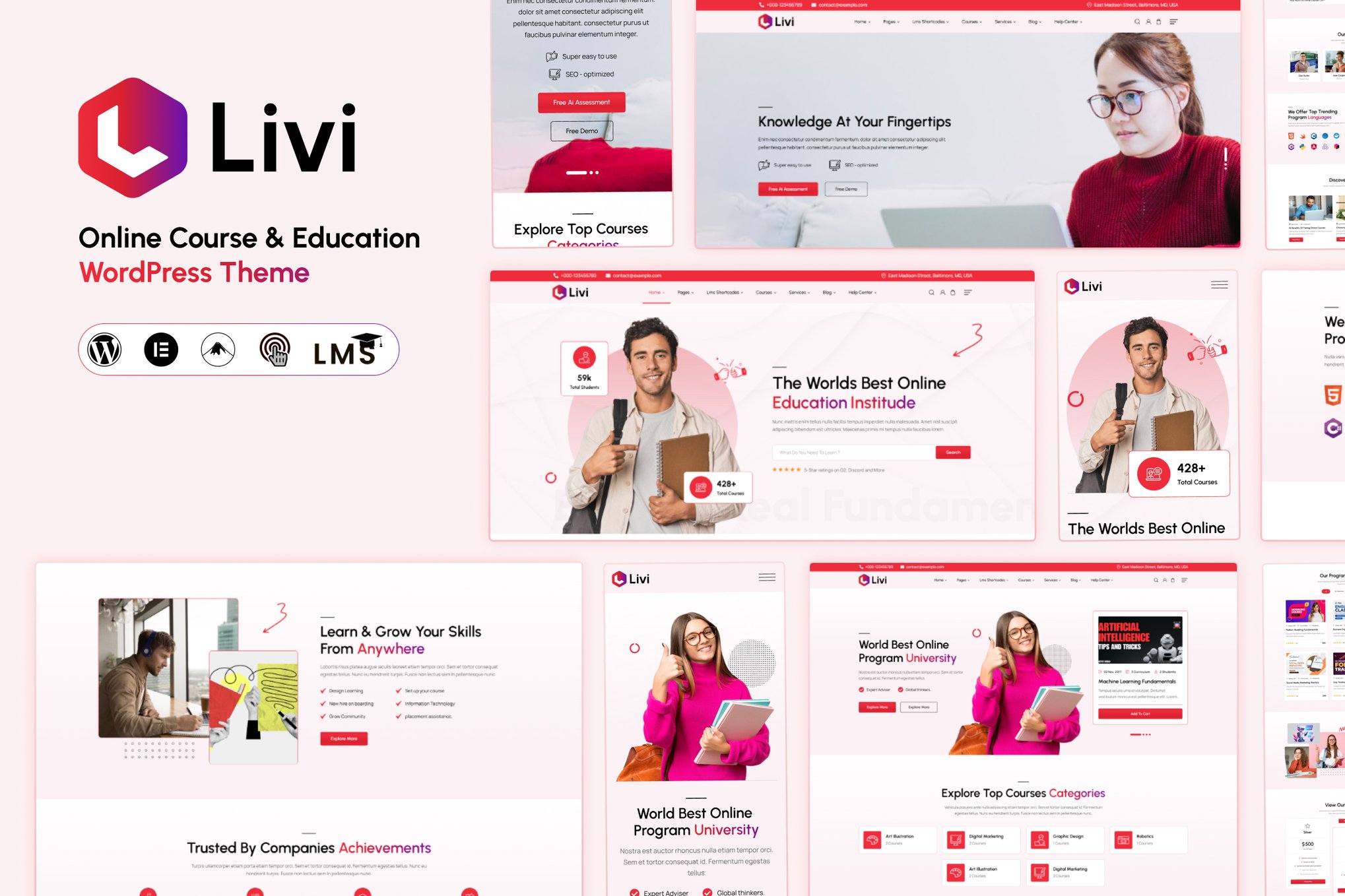Livi – Education WordPress Theme