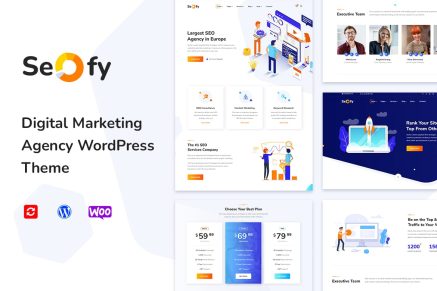 Seofy – Digital & Marketing WordPress Theme