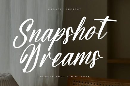 Snapshot Dreams Modern Bold Script Font