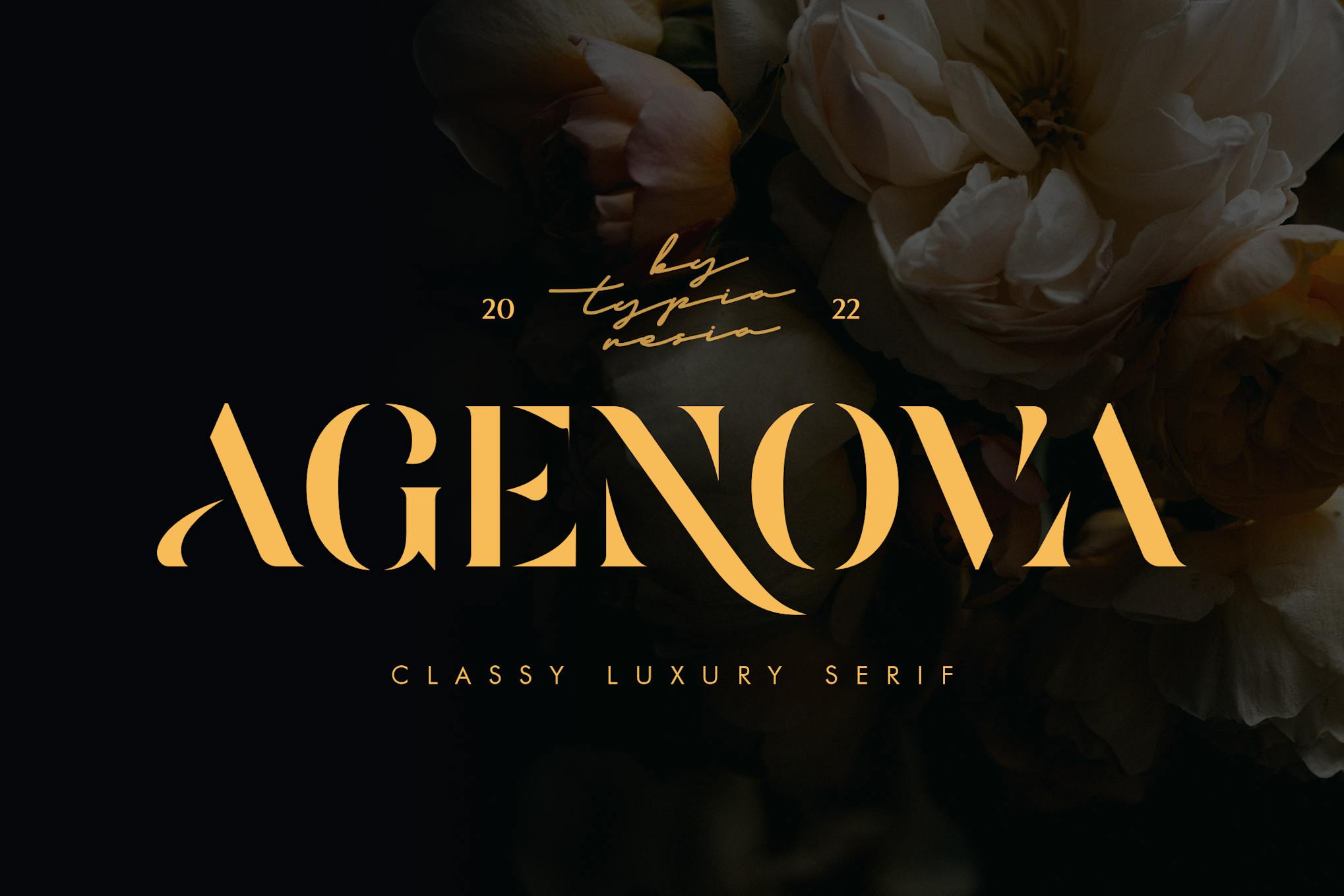 Agenova – Modern Luxury Bold Stencil Serif