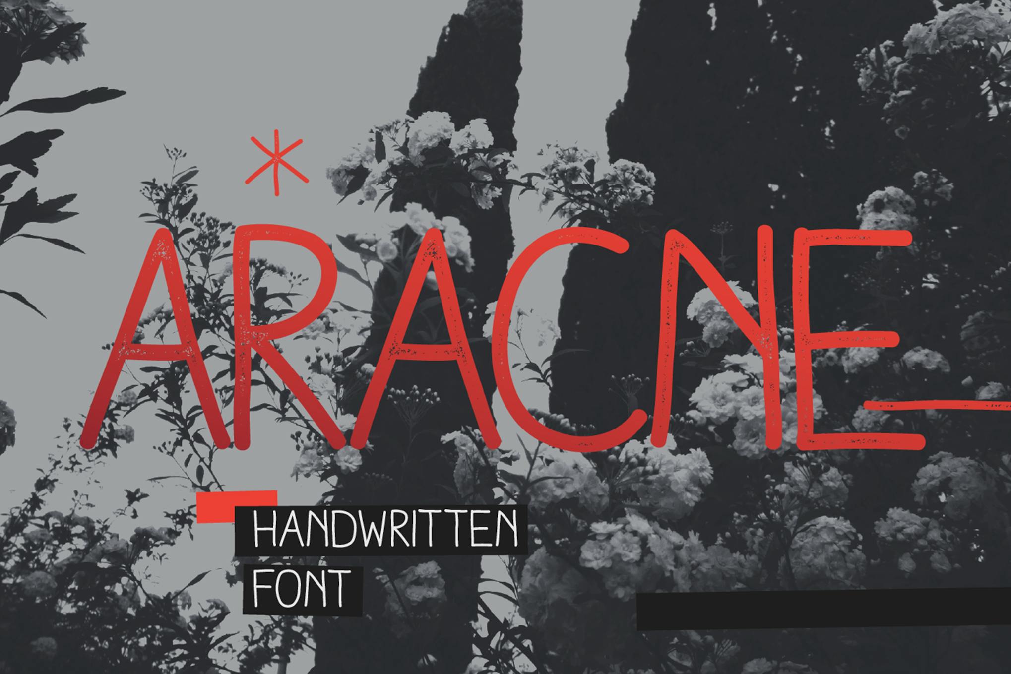 Aracne
