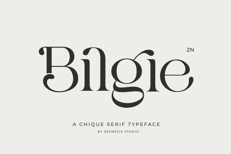 Bilgie
