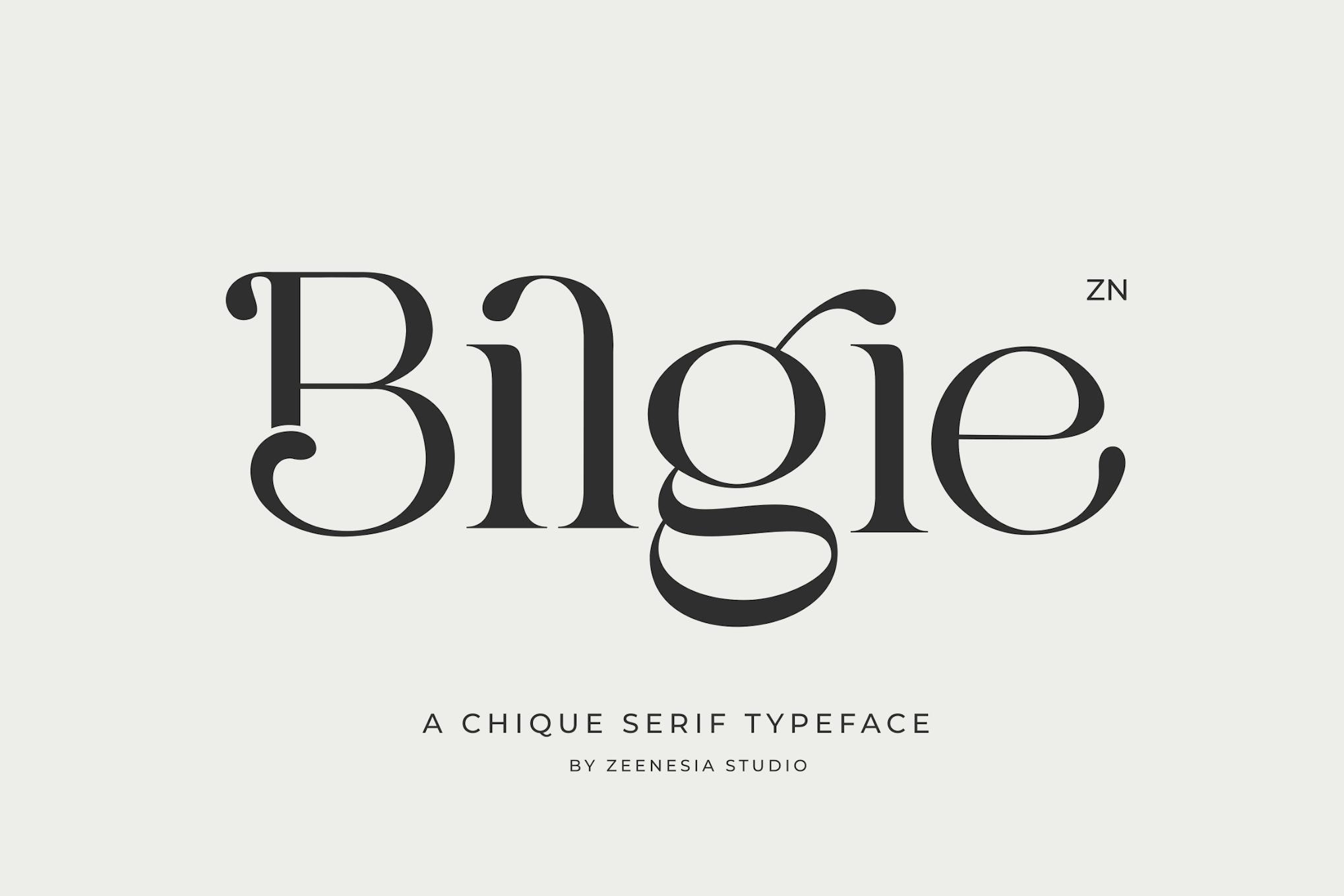 Bilgie