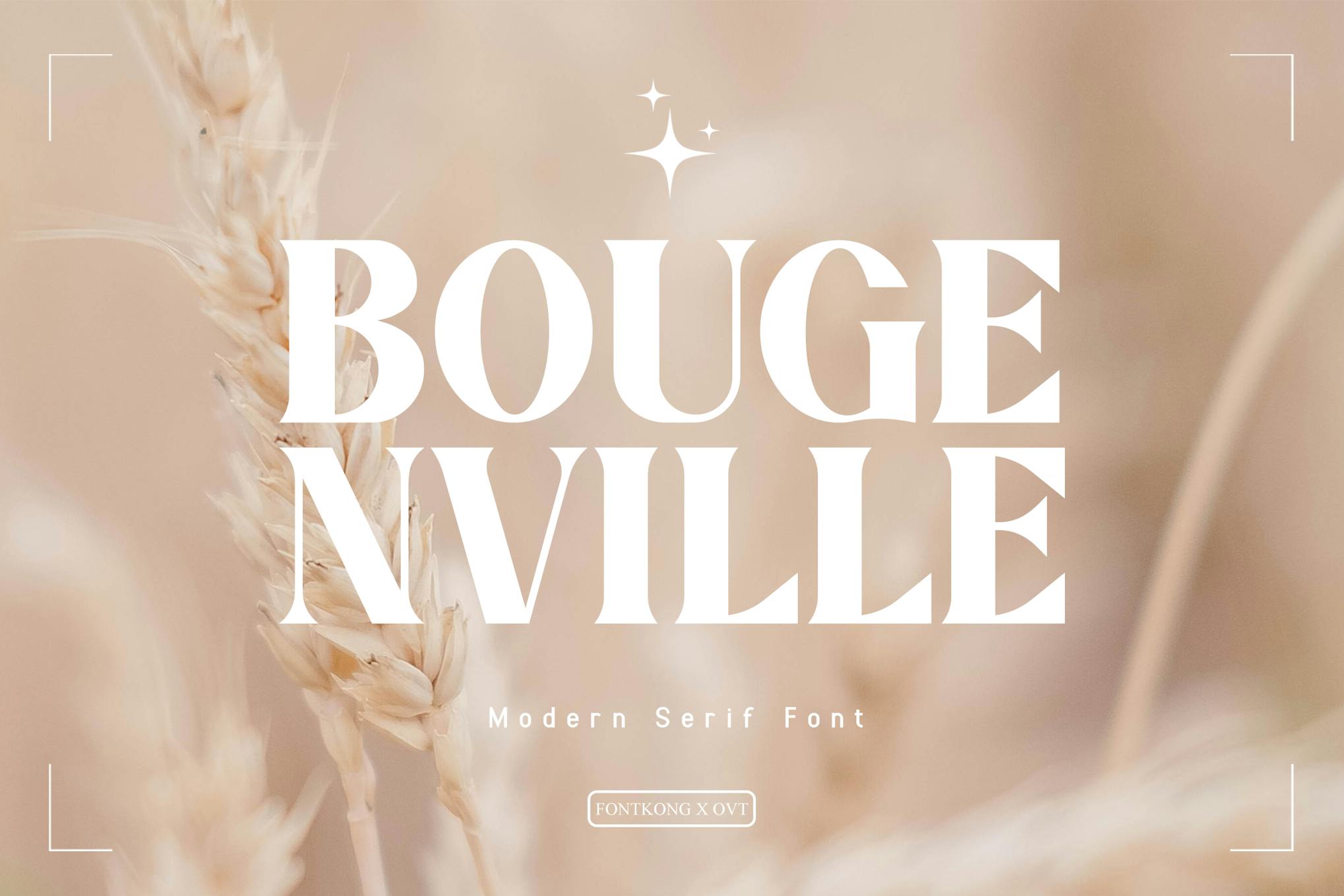 Bougenville – Modern Serif Font