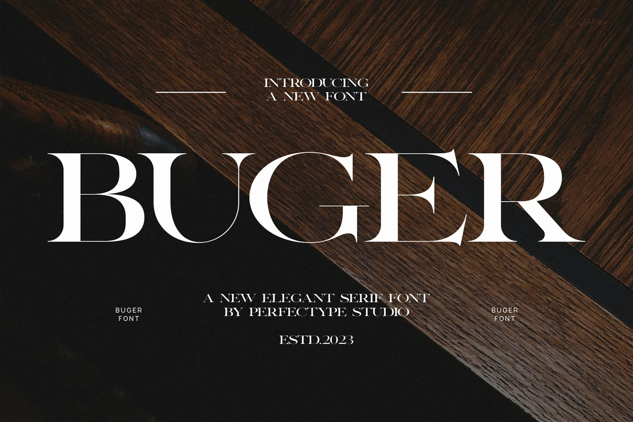 Buger Elegant Serif Font Typeface