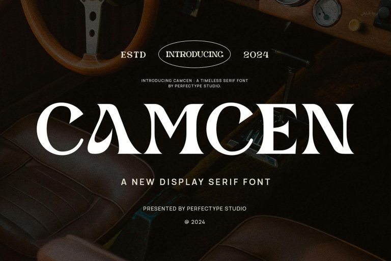 Camcen Elegant Ligature Serif Font Typeface