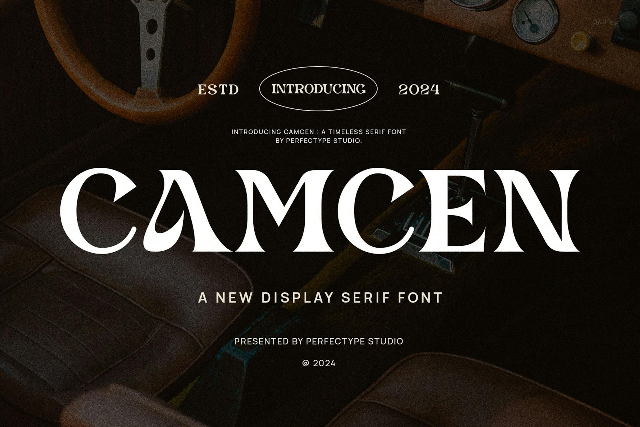 Camcen Elegant Ligature Serif Font Typeface