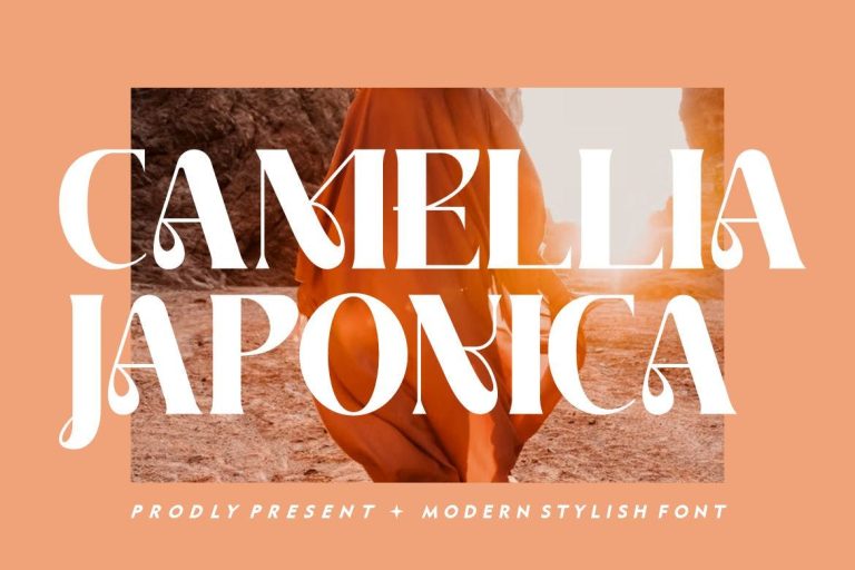 Camellia Japonica