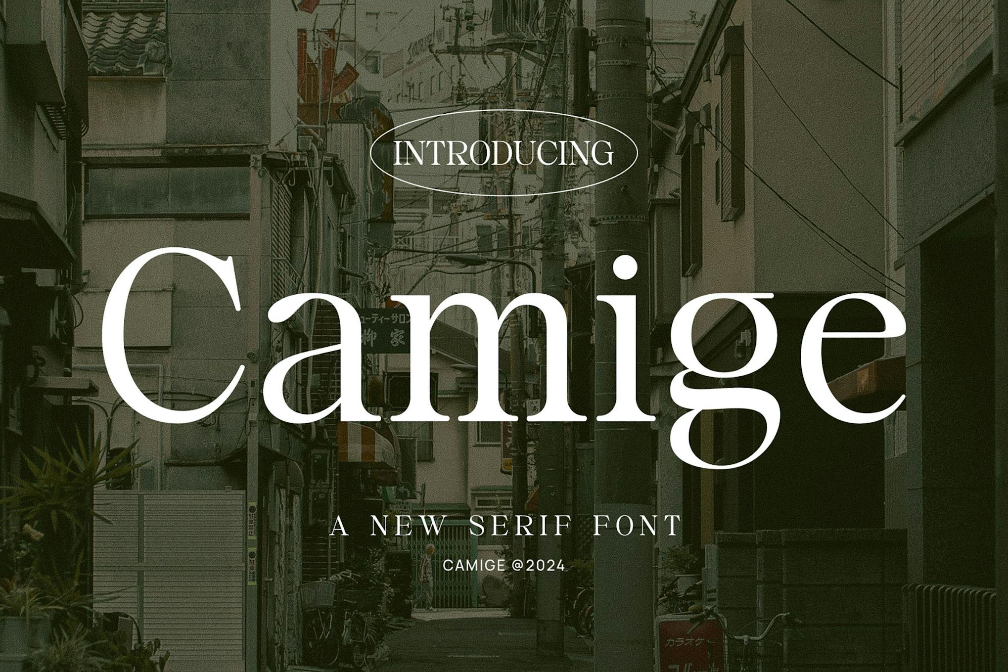 Camige – Classy & Stylish Serif