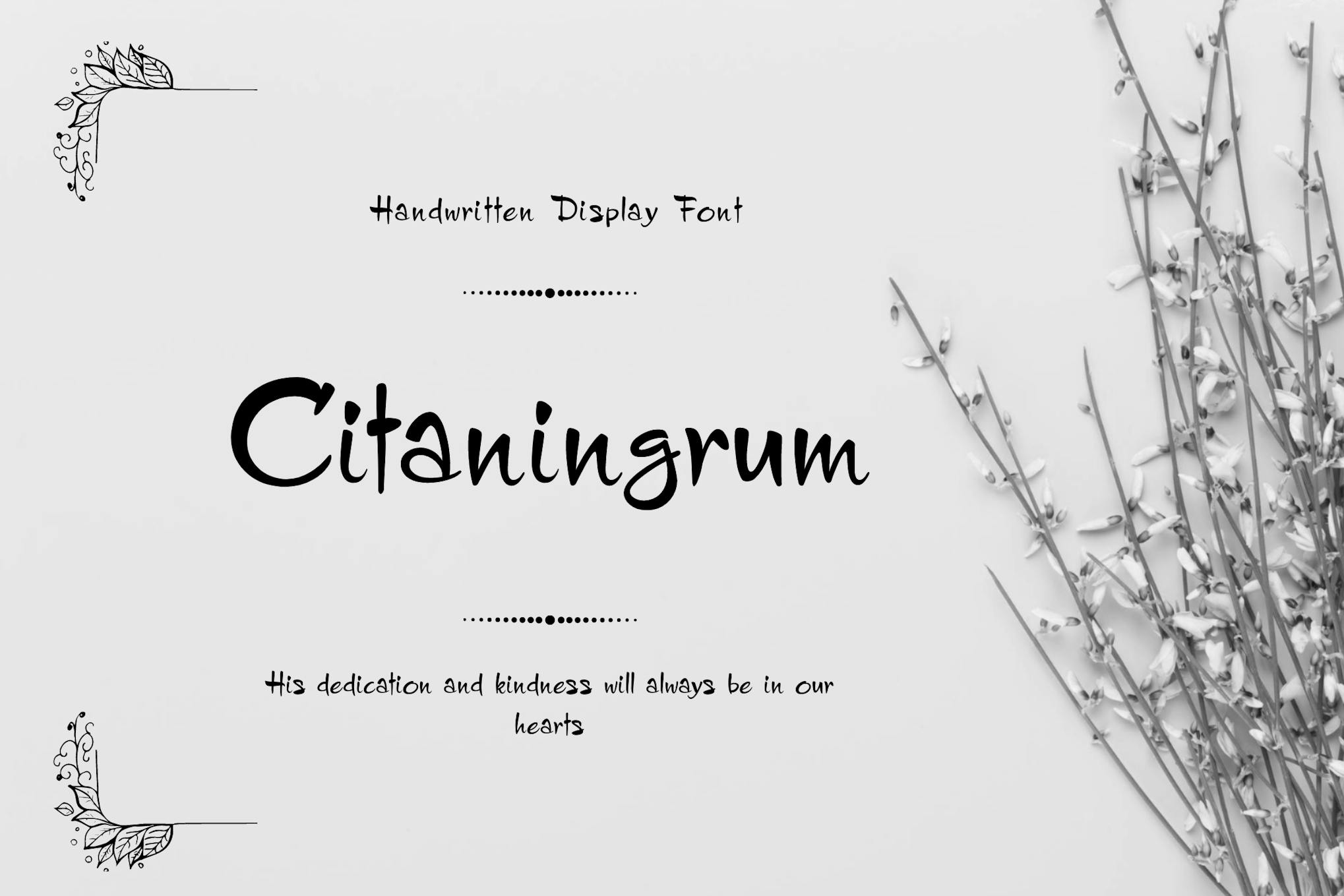 Citraningrum Handwritten Font