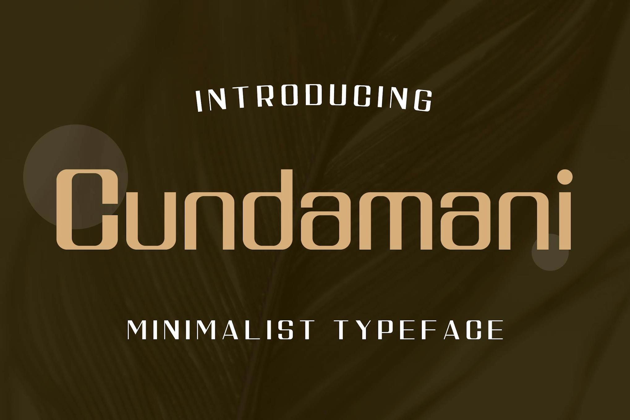 Cundamani – Minimalist Elegant Typeface