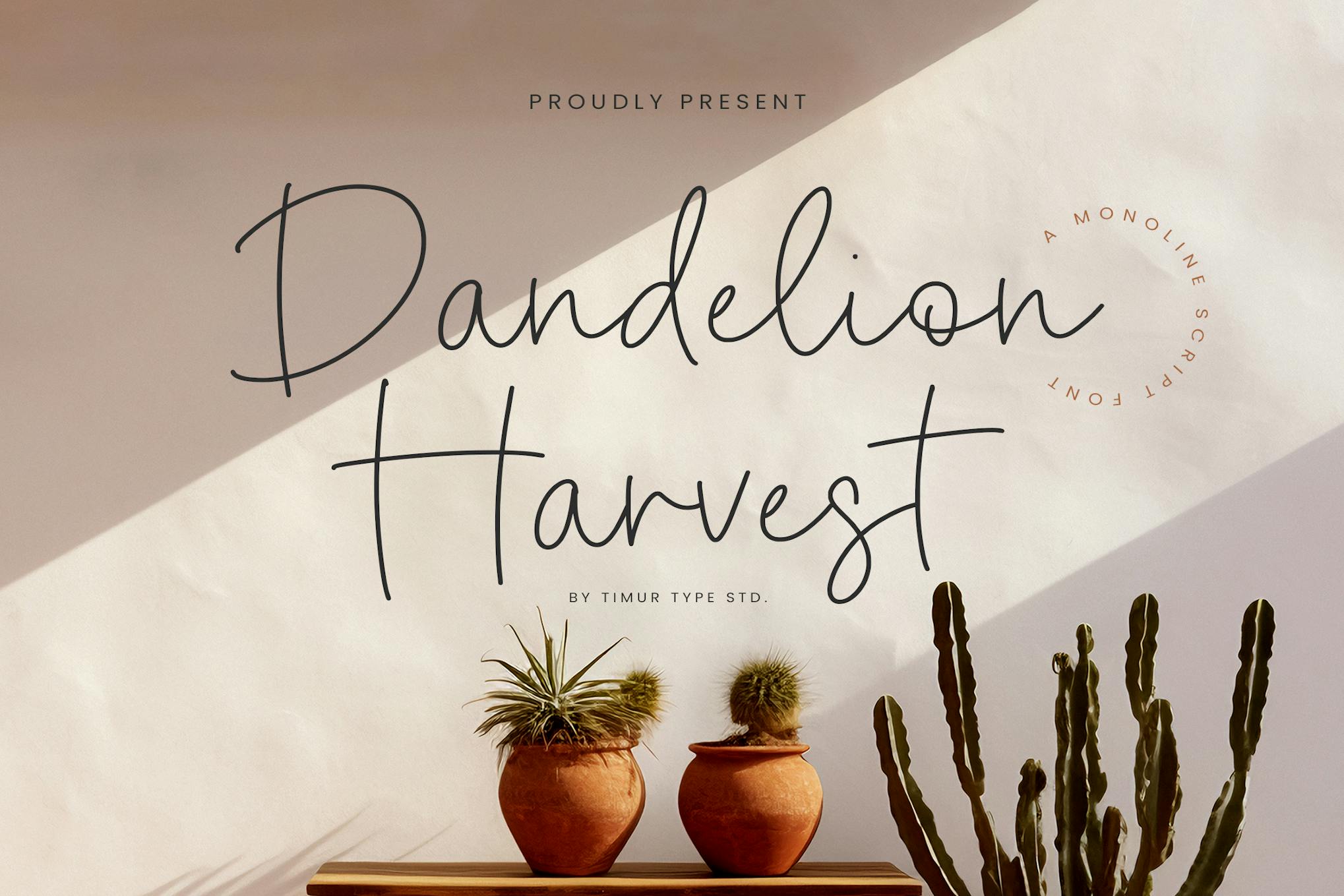 Dandelion Harvest – Monoline Script Font TT