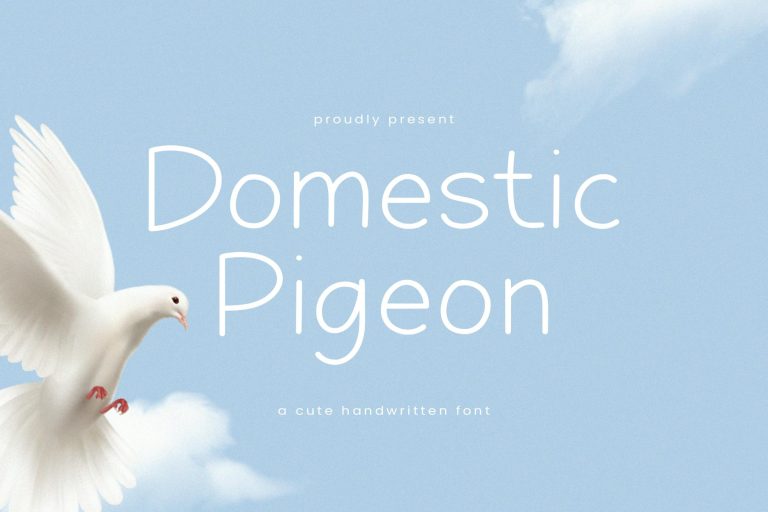 Domestic Pigeon – Cute Handwritten Font TT